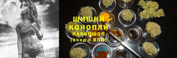 дмт Нея