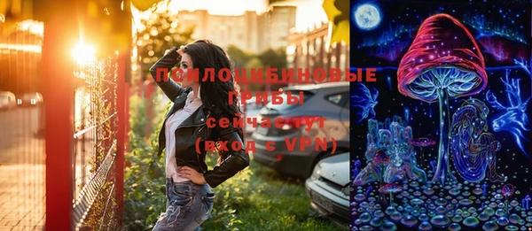 ГАЛЛЮЦИНОГЕННЫЕ ГРИБЫ Новодвинск