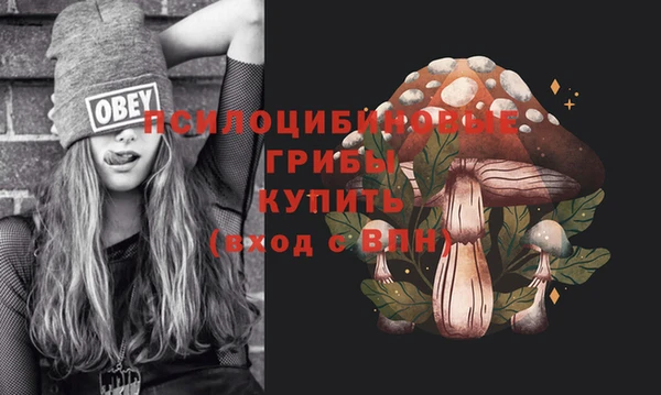 дмт Нея