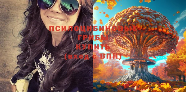 дмт Нея