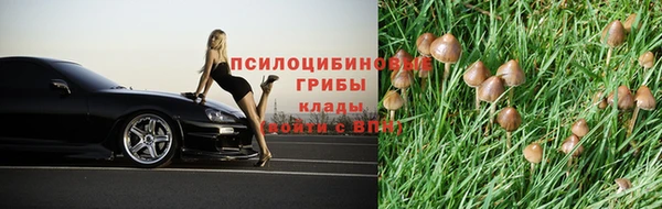 дмт Нея